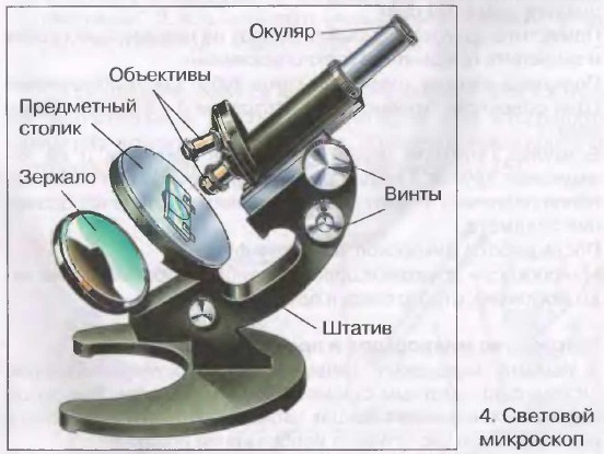 Фото Микроскопа 5 Класс Биология